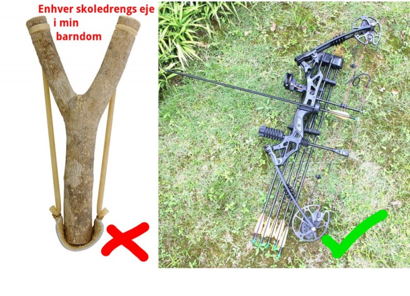 slingshot.jpg