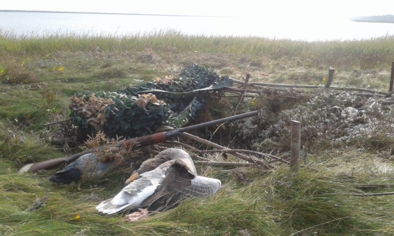 20200927_105733.jpg