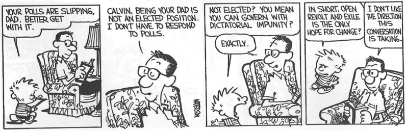 calvin-and-hobbes-steering.png