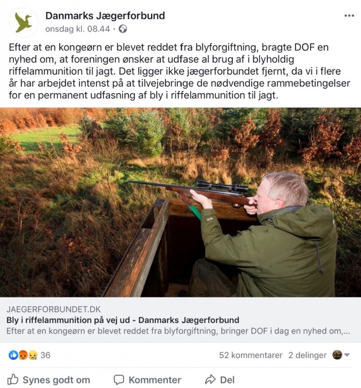 3A89C355-74CB-4E51-9B8F-83BCEC8E9E6D.jpeg
